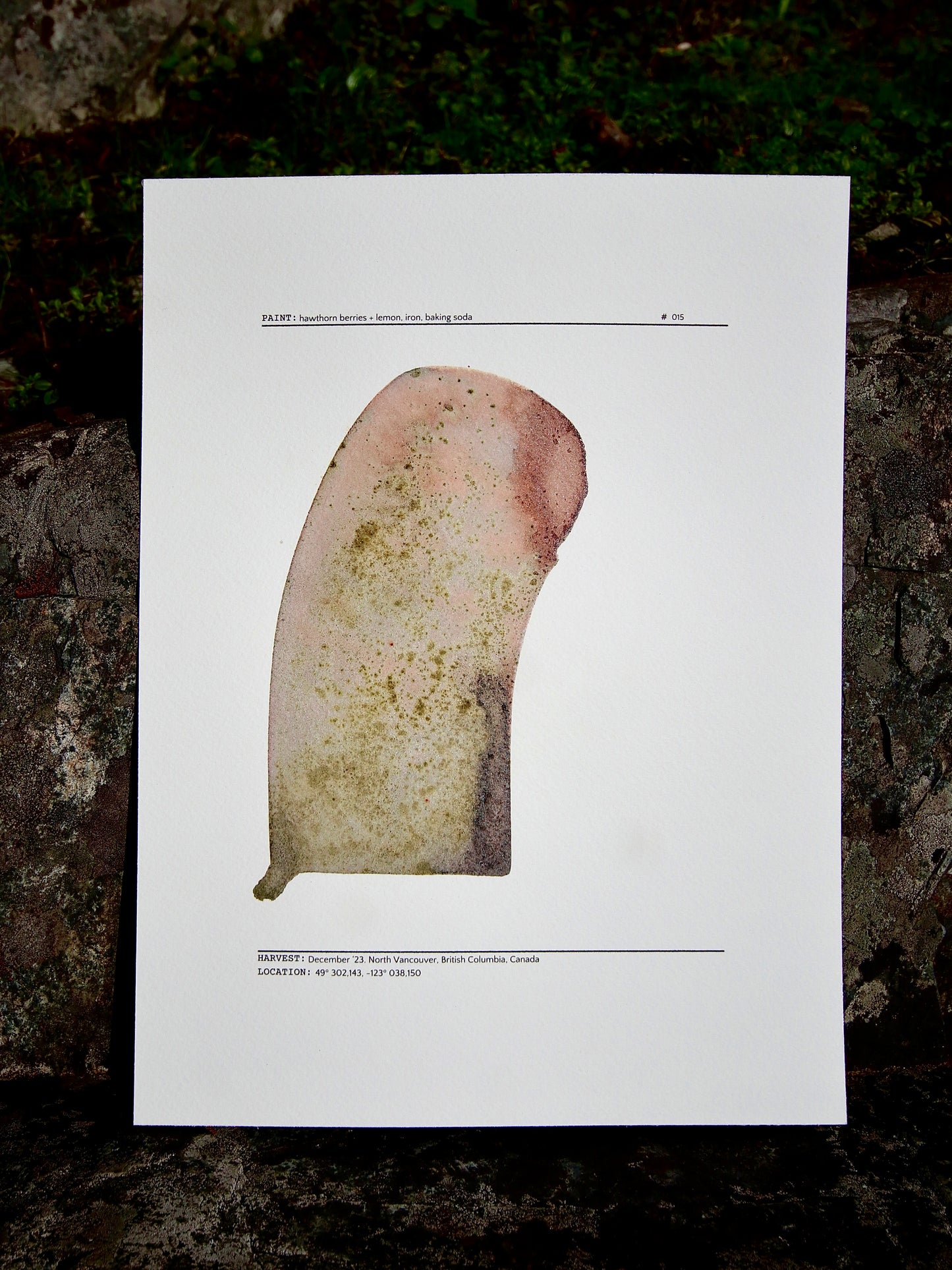 Hawthorn #015 – 9" x 12"