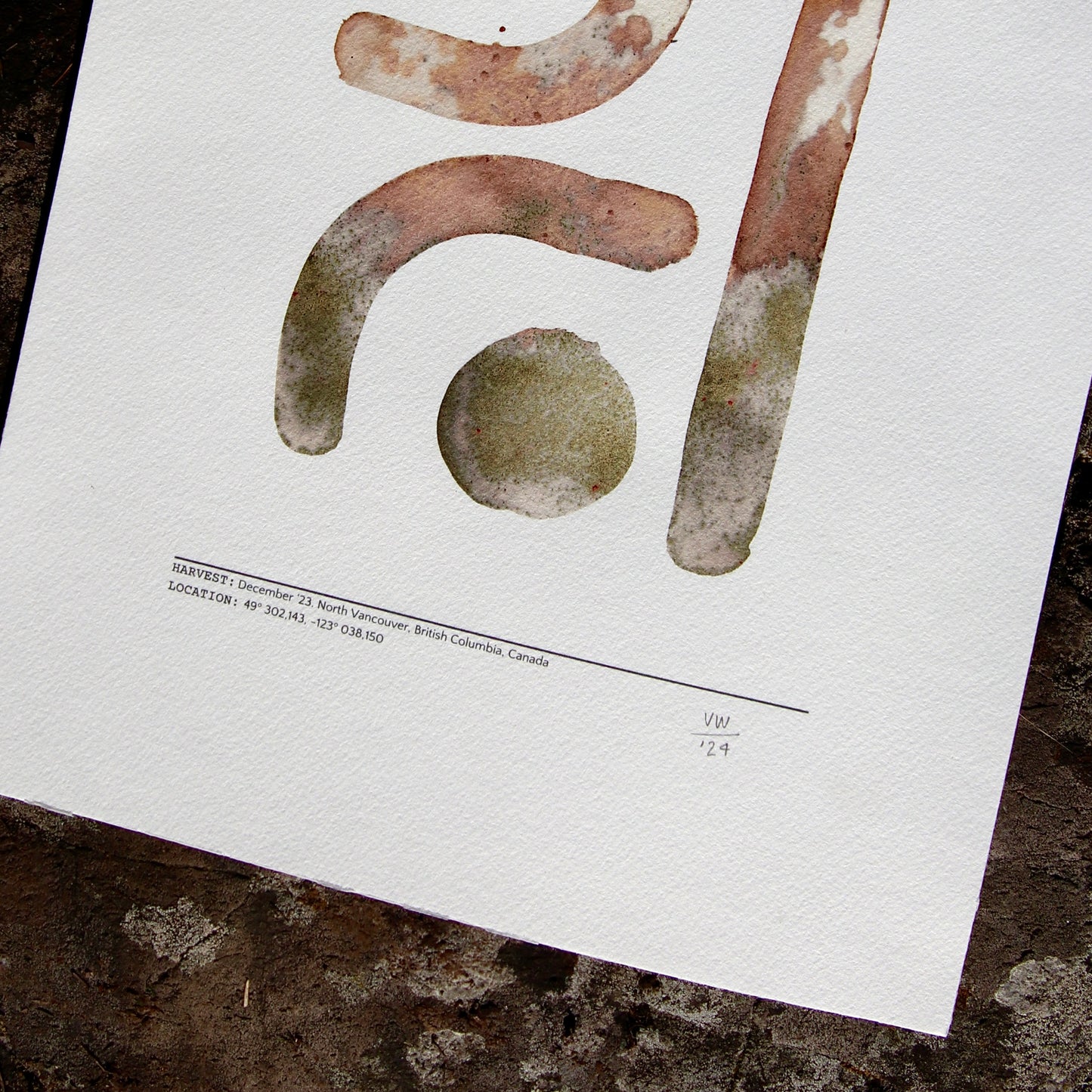 Hawthorn #002 – 12" x 16"