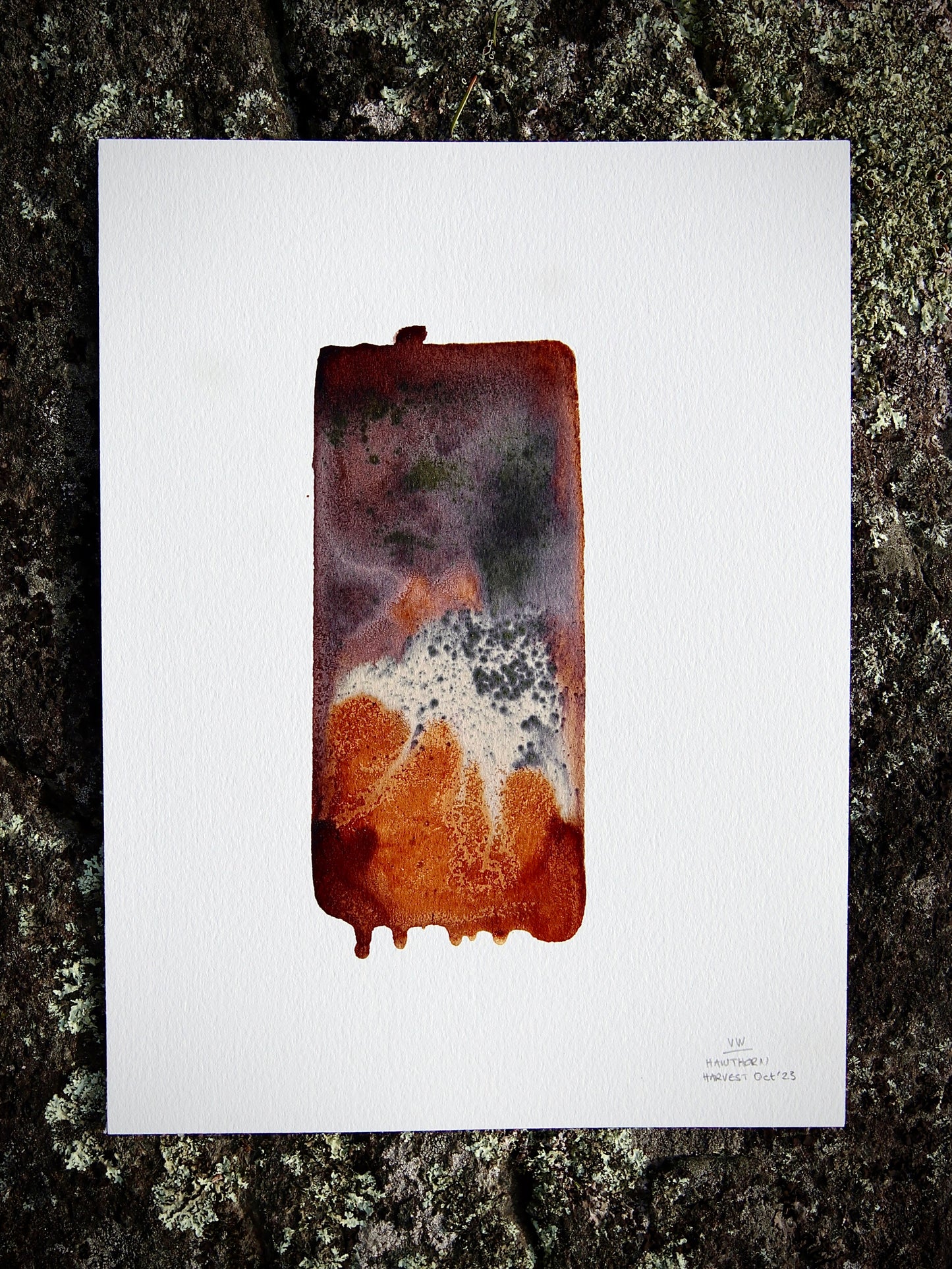 Turmoil of Perfection In A Universe of Indifference – 9.5" x 12.5"