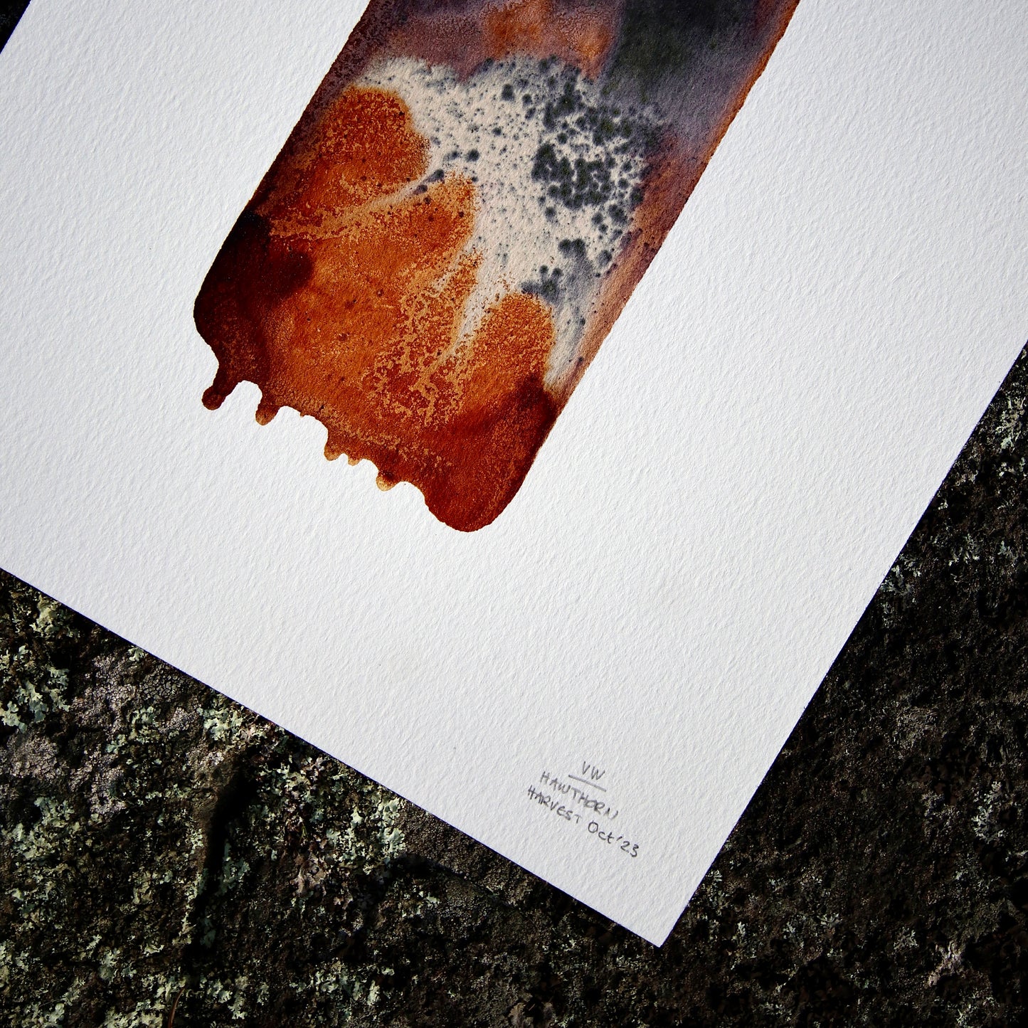 Turmoil of Perfection In A Universe of Indifference – 9.5" x 12.5"