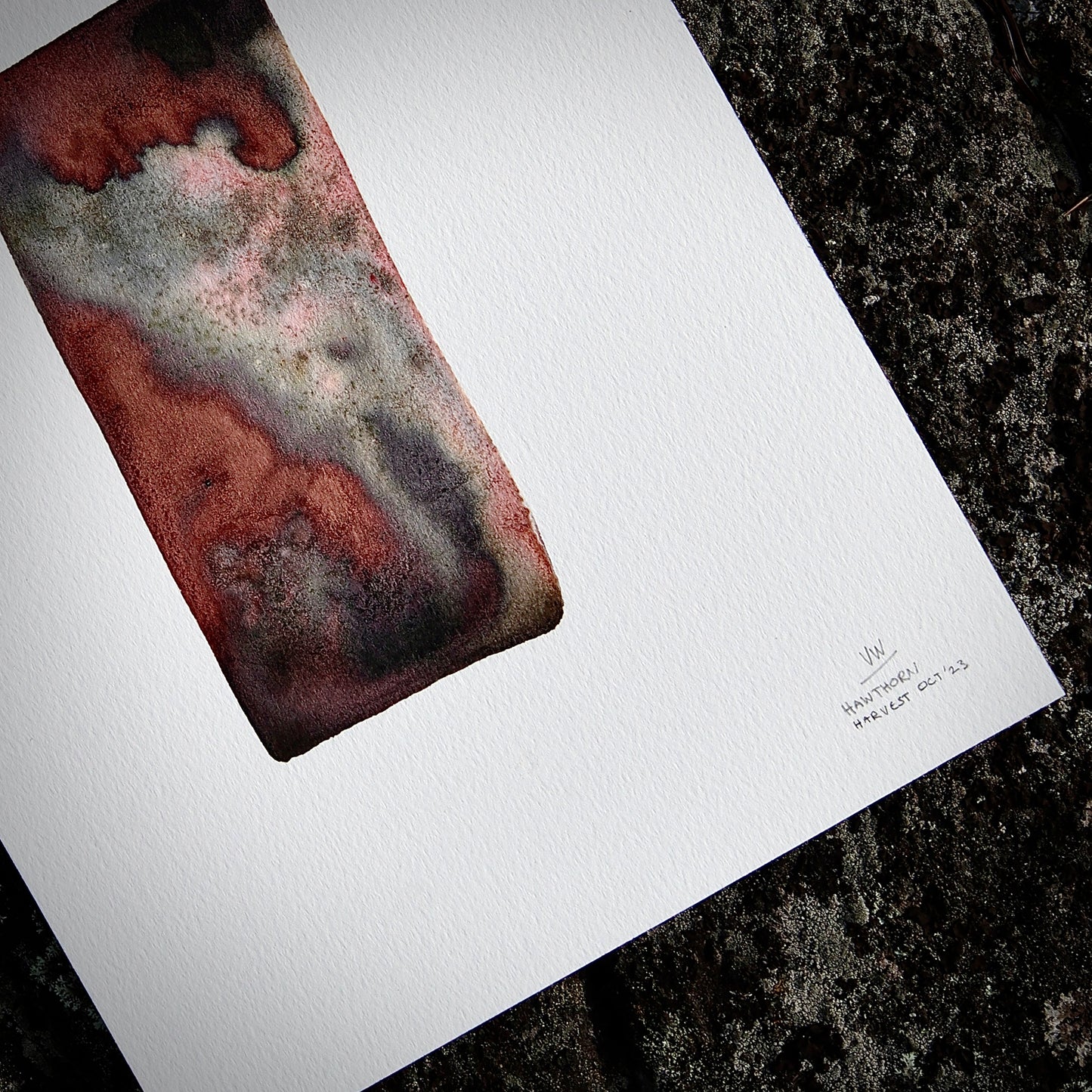 To The Forest Goes The Universe – 9.5" x 12.5"