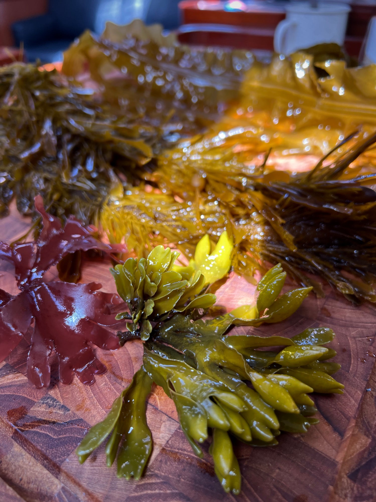 A mix of red, green, and brown seaweeds displayed on a wooden chopping board